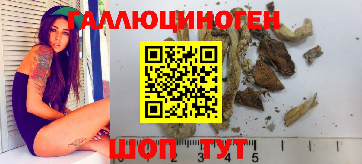 Псилоцибиновые грибы мухоморы Наро-Фоминск