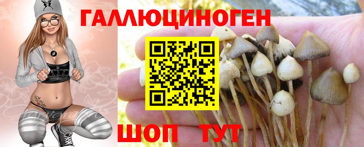 Alpha-PVP СОЛЬ   Меф МЯУ МЯУ  Вход с VPN  COCAIN  Бошки Шишки  Где продают наркотики?  MDMA  Экстази  Наро-Фоминск  Меф   Гашиш  Гашиш 