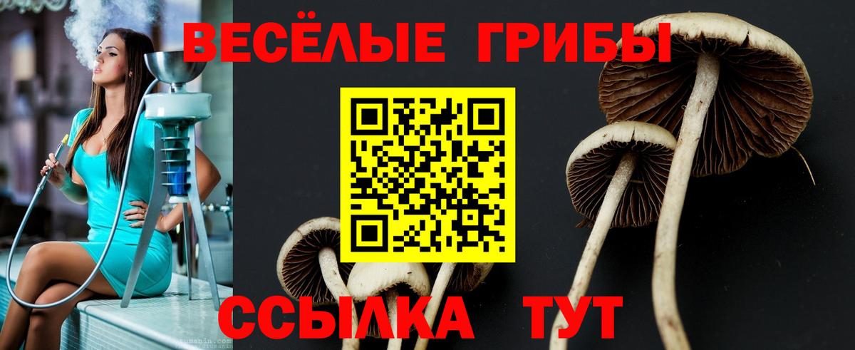 Псилоцибиновые грибы Cubensis  Вход с VPN  Наро-Фоминск  Галлюциногенные грибы MAGIC MUSHROOMS 